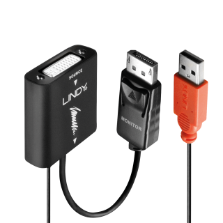 Adaptor DVI-D la Displayport M-T Activ alimentare USB, Lindy L38145